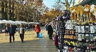 ゲストハウス オスタル ドラサネース